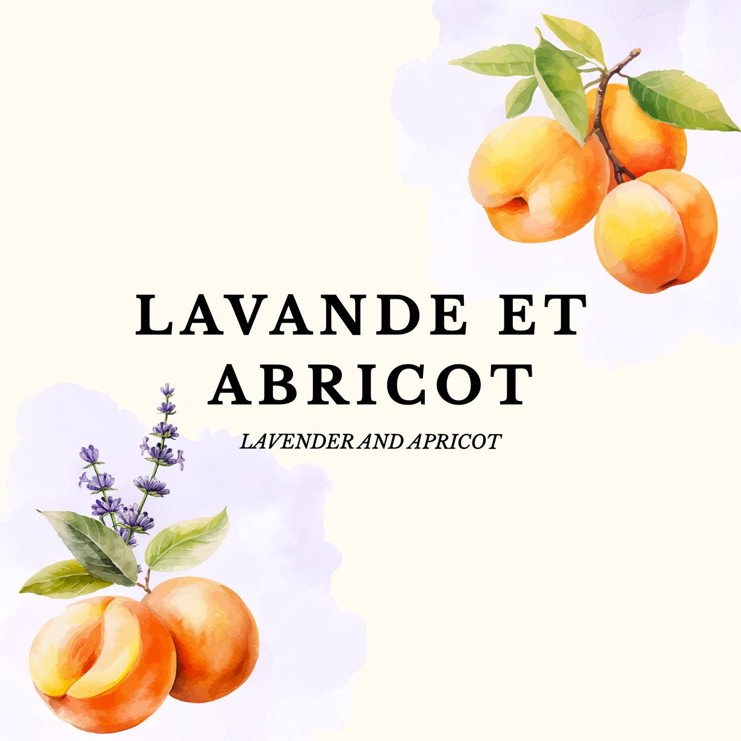 LAVANDE ET ABRICOT