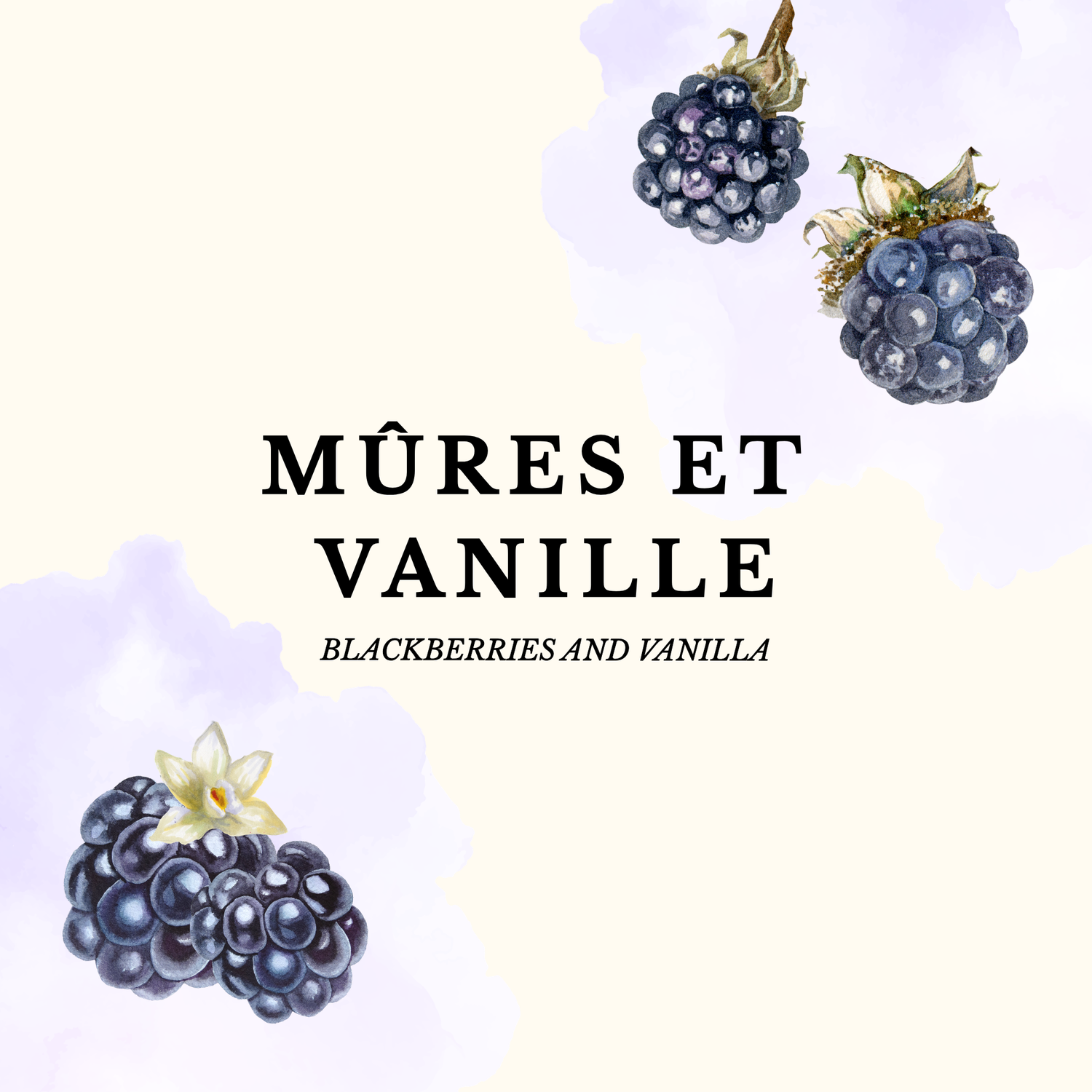 MÛRES ET VANILLE