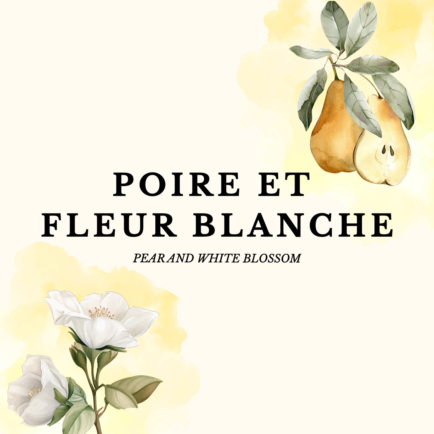 POIRE ET FLEUR BLANCHE