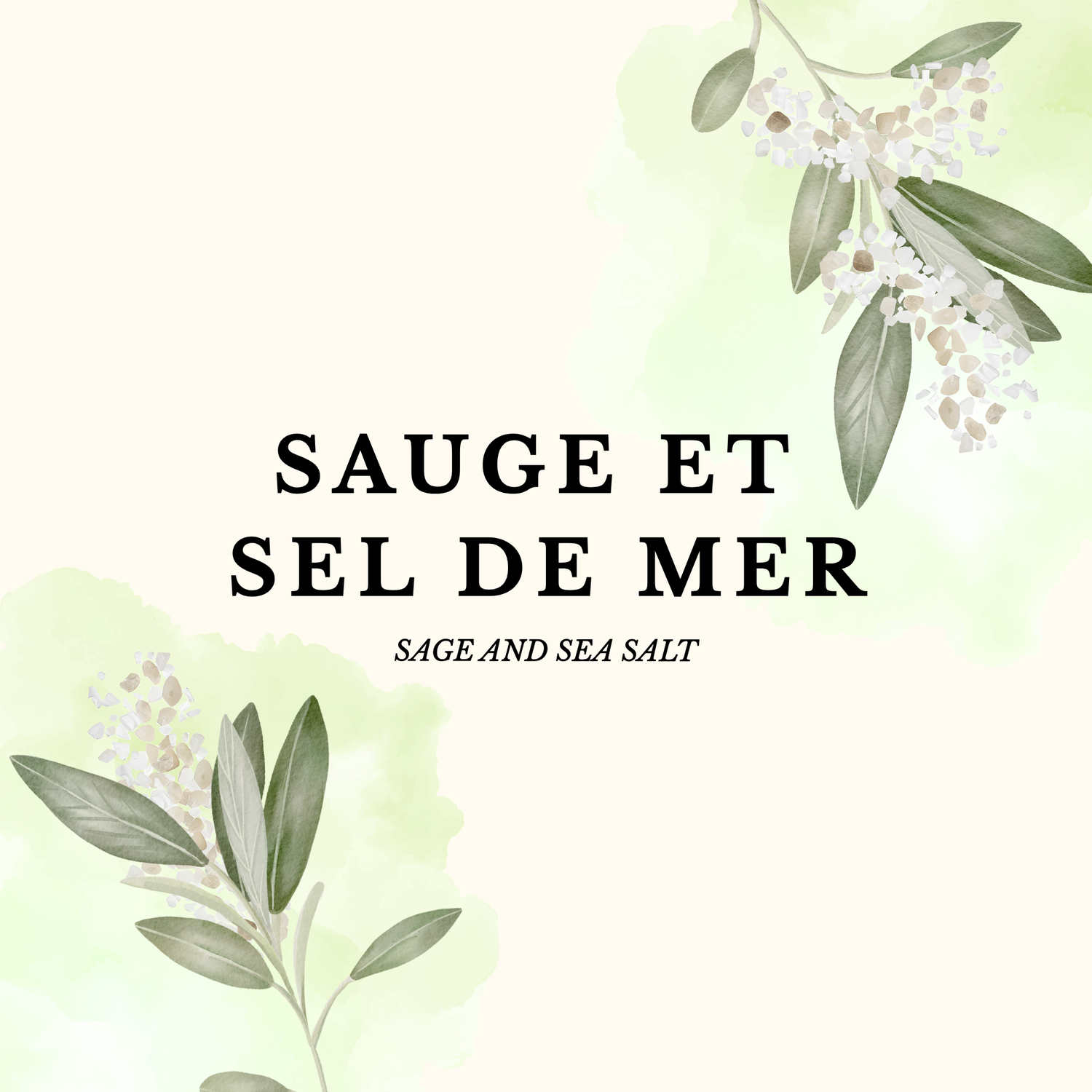 SAUGE ET SEL DE MER
