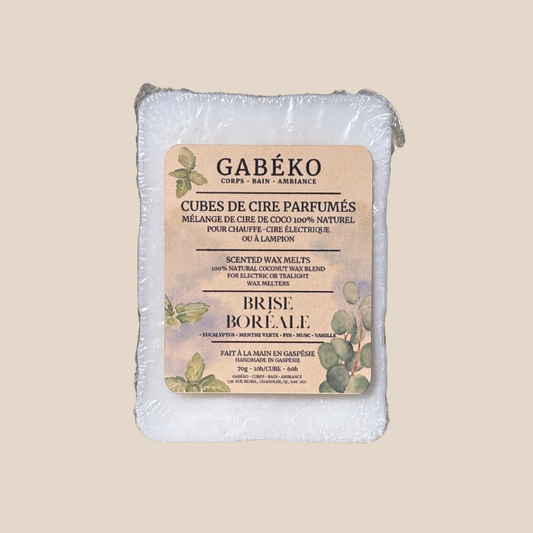 Cubes de cire parfumés - Brise boréale