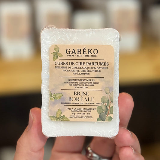 Cubes de cire parfumés - Brise boréale